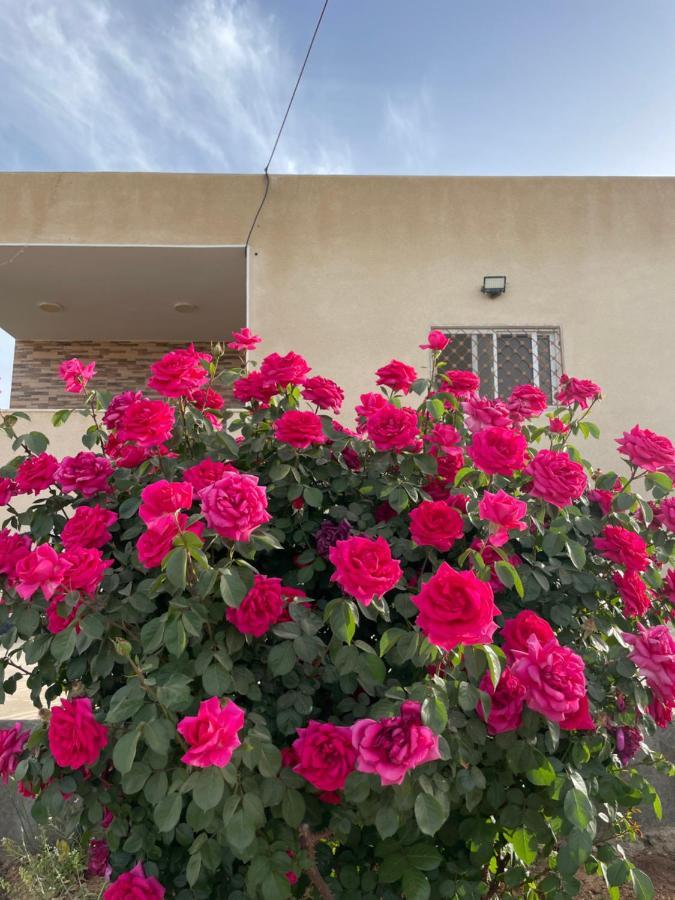 مزرعة النجم Najem Farm Villa Al-Qasr Exterior foto