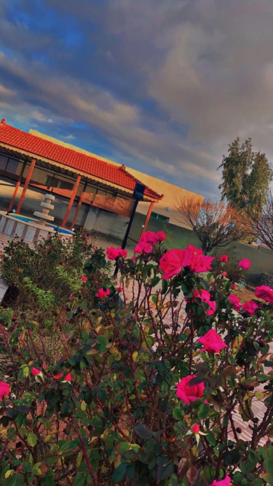 مزرعة النجم Najem Farm Villa Al-Qasr Exterior foto